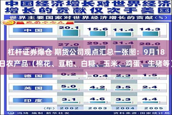 杠杆证券爆仓 期货公司观点汇总一张图：9月18日农产品（棉花、豆粕、白糖、玉米、鸡蛋、生猪等）