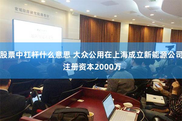 股票中杠杆什么意思 大众公用在上海成立新能源公司 注册资本2000万