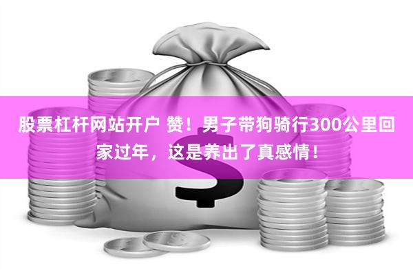 股票杠杆网站开户 赞！男子带狗骑行300公里回家过年，这是养出了真感情！