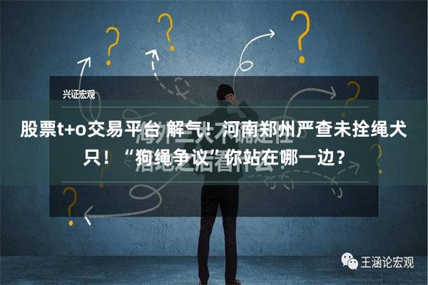 股票t+o交易平台 解气！河南郑州严查未拴绳犬只！“狗绳争议”你站在哪一边？