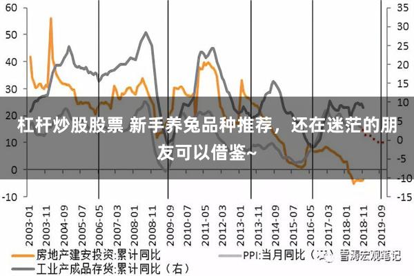 杠杆炒股股票 新手养兔品种推荐，还在迷茫的朋友可以借鉴~