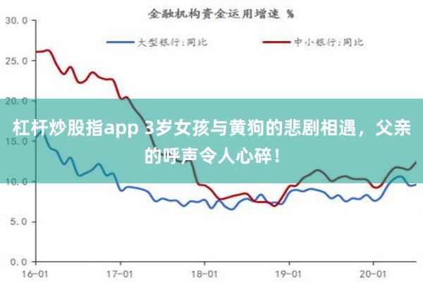 杠杆炒股指app 3岁女孩与黄狗的悲剧相遇，父亲的呼声令人心碎！