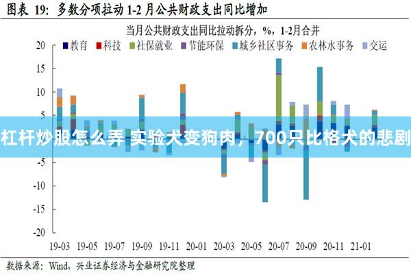 杠杆炒股怎么弄 实验犬变狗肉，700只比格犬的悲剧