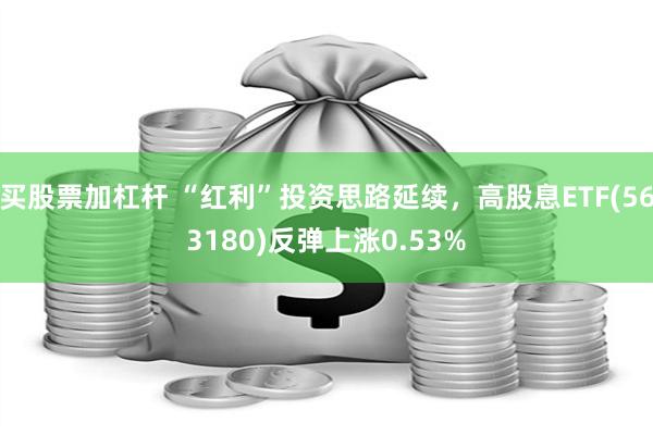 买股票加杠杆 “红利”投资思路延续，高股息ETF(563180)反弹上涨0.53%