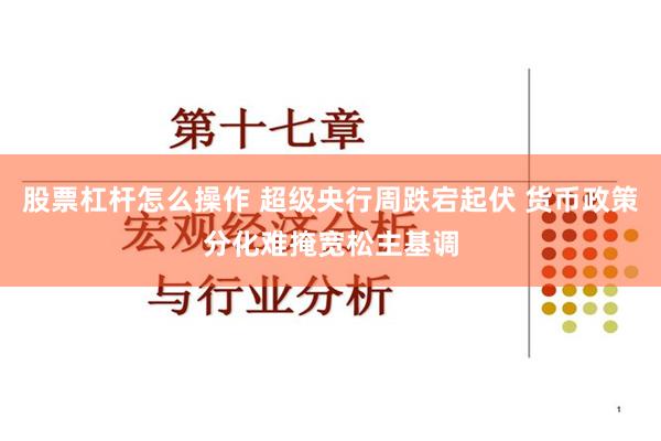 股票杠杆怎么操作 超级央行周跌宕起伏 货币政策分化难掩宽松主基调