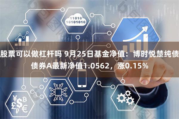 股票可以做杠杆吗 9月25日基金净值：博时悦楚纯债债券A最新净值1.0562，涨0.15%