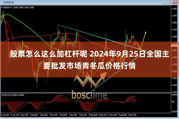 股票怎么这么加杠杆呢 2024年9月25日全国主要批发市场青冬瓜价格行情