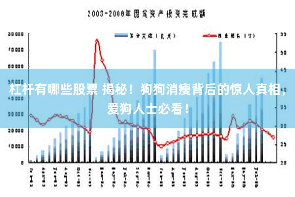 杠杆有哪些股票 揭秘！狗狗消瘦背后的惊人真相，爱狗人士必看！