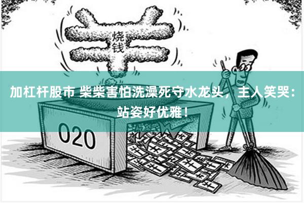 加杠杆股市 柴柴害怕洗澡死守水龙头，主人笑哭：站姿好优雅！