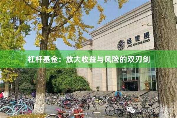 杠杆基金：放大收益与风险的双刃剑