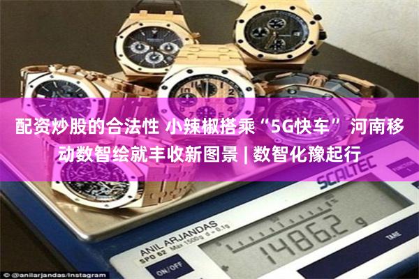 配资炒股的合法性 小辣椒搭乘“5G快车” 河南移动数智绘就丰收新图景 | 数智化豫起行