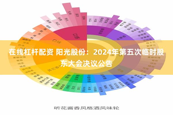 在线杠杆配资 阳光股份：2024年第五次临时股东大会决议公告