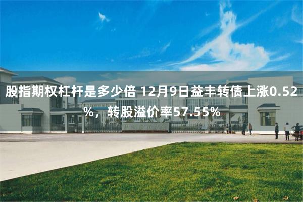 股指期权杠杆是多少倍 12月9日益丰转债上涨0.52%，转股溢价率57.55%