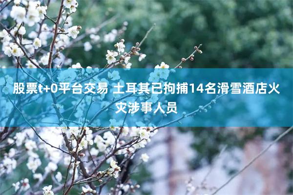 股票t+0平台交易 土耳其已拘捕14名滑雪酒店火灾涉事人员