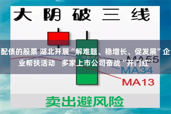 配债的股票 湖北开展“解难题、稳增长、促发展”企业帮扶活动   多家上市公司奋战“开门红”