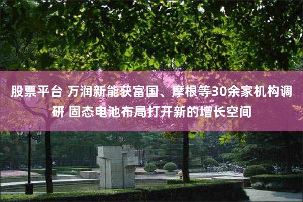 股票平台 万润新能获富国、摩根等30余家机构调研 固态电池布局打开新的增长空间