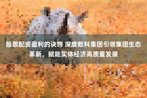 股票配资盈利的诀窍 深度数科集团引领集团生态革新，赋能实体经济高质量发展