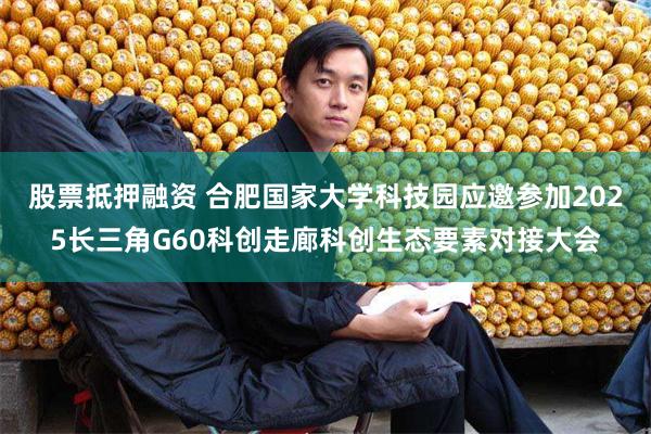 股票抵押融资 合肥国家大学科技园应邀参加2025长三角G60科创走廊科创生态要素对接大会